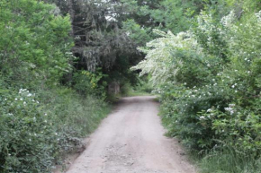 ALA DE LIBERTAD, Villa Yacanto